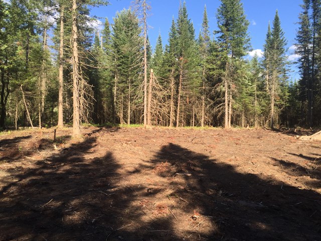 Lot #2 Bellingertown Rd, Forestport, NY 13338