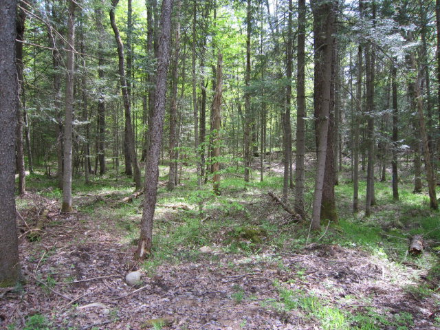 113  West Road, Forestport, NY 13338