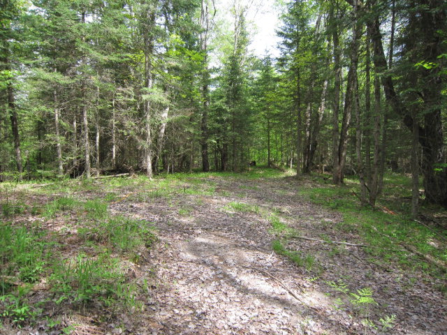 113  West Road, Forestport, NY 13338