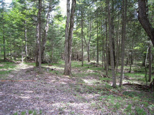 113  West Road, Forestport, NY 13338
