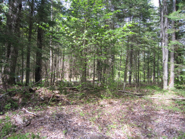 113  West Road, Forestport, NY 13338