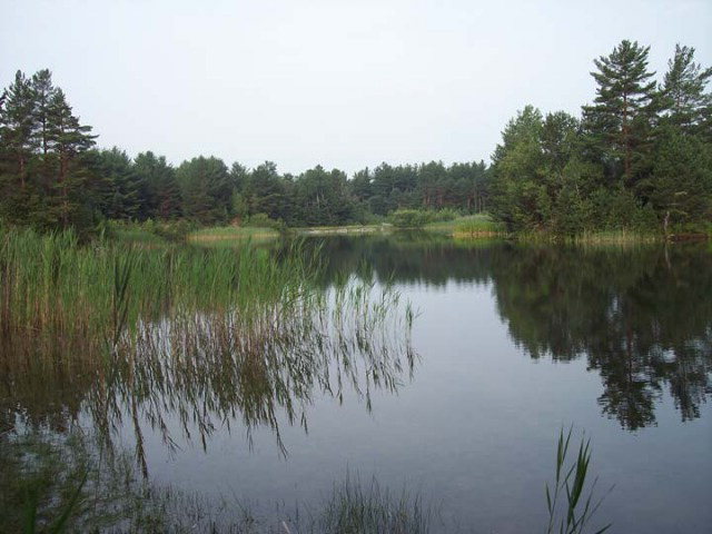 14-16 Blue Waters Road, Forestport, NY 13338