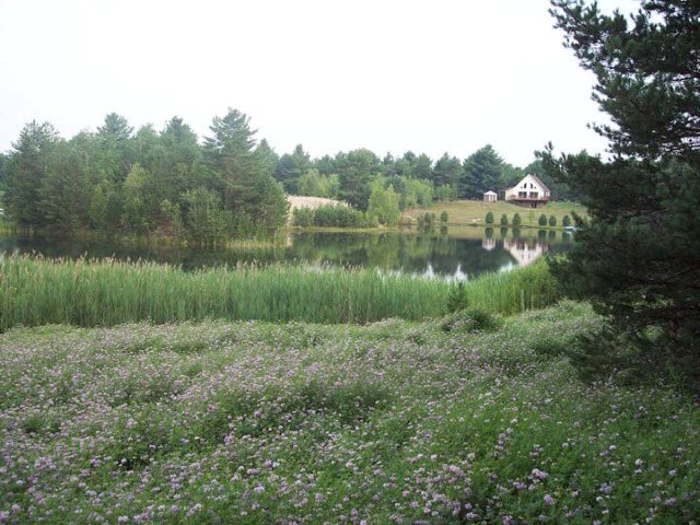 14-16 Blue Waters Road, Forestport, NY 13338