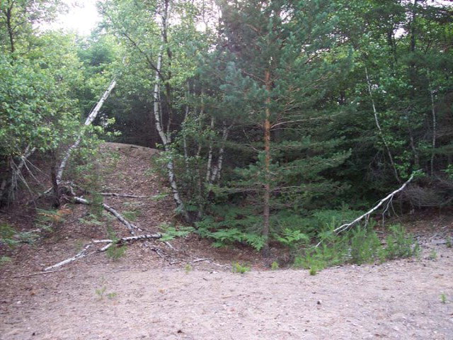 14-16 Blue Waters Road, Forestport, NY 13338