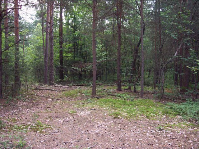 14-16 Blue Waters Road, Forestport, NY 13338