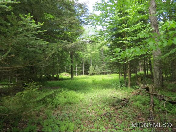 17 Myers Hill Rd., Forestport, NY 13338
