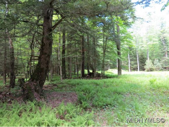 17 Myers Hill Rd., Forestport, NY 13338