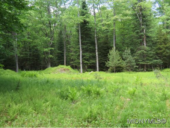 17 Myers Hill Rd., Forestport, NY 13338