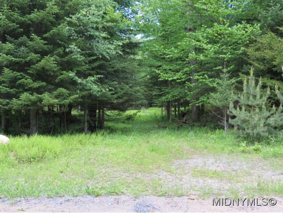 17 Myers Hill Rd., Forestport, NY 13338