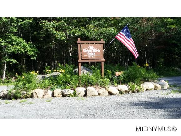 Mohawk Drive, Forestport, NY 13338