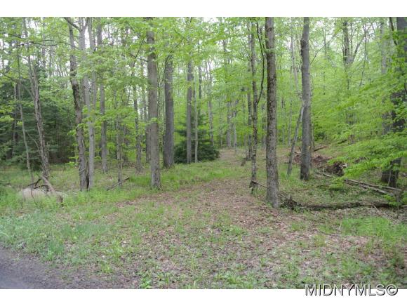 Mohawk Drive, Forestport, NY 13338