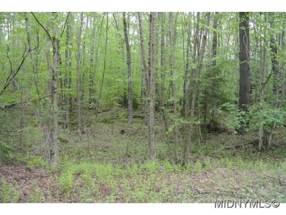 Mohawk Drive, Forestport, NY 13338