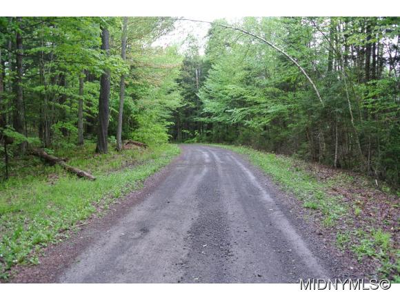 Mohawk Drive, Forestport, NY 13338