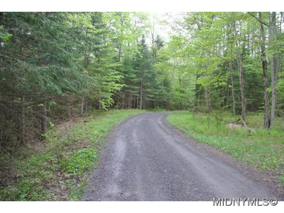 Mohawk Drive, Forestport, NY 13338