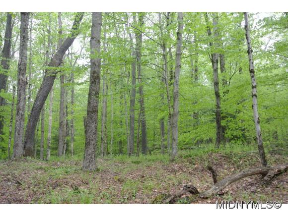 Mohawk Drive, Forestport, NY 13338