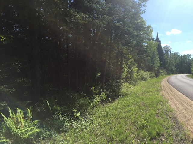Lot #3 Bellingertown Rd, Forestport, NY 13338