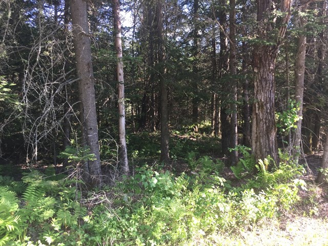 Lot #3 Bellingertown Rd, Forestport, NY 13338