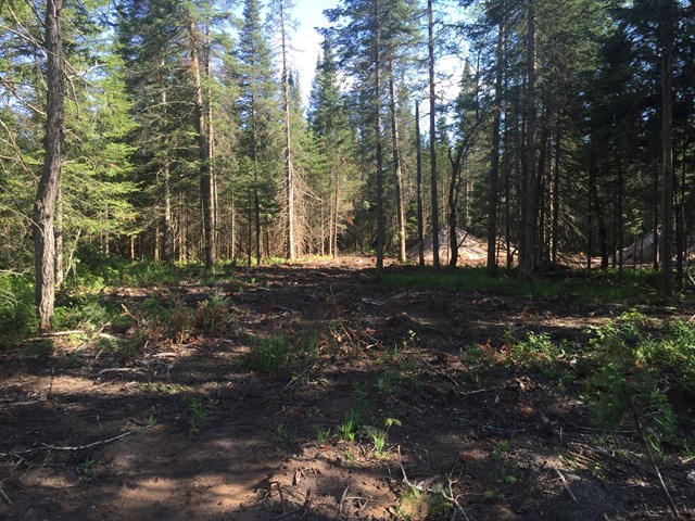 Lot #3 Bellingertown Rd, Forestport, NY 13338