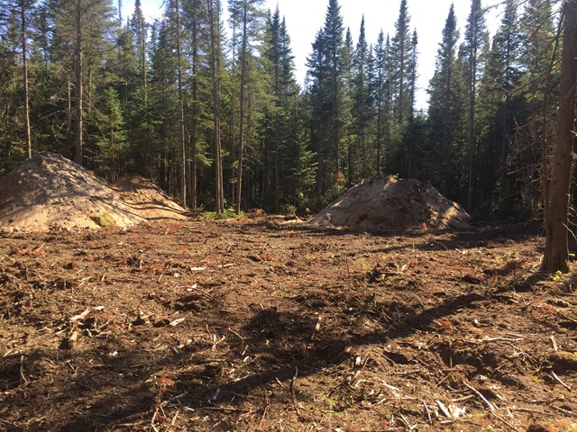 Lot #3 Bellingertown Rd, Forestport, NY 13338