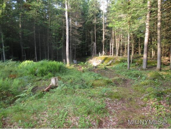 2351 Little Beaver Lake Rd., Forestport, NY 13338