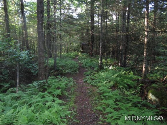 2351 Little Beaver Lake Rd., Forestport, NY 13338