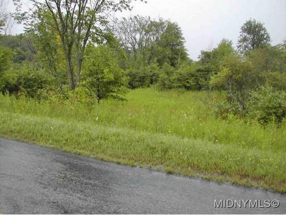 0 Mowers Road, Schuyler, NY 13340