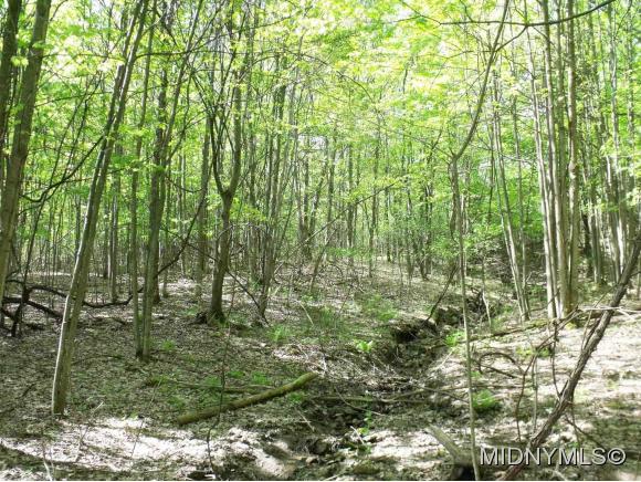 Brown Road, Frankfort, NY 13340