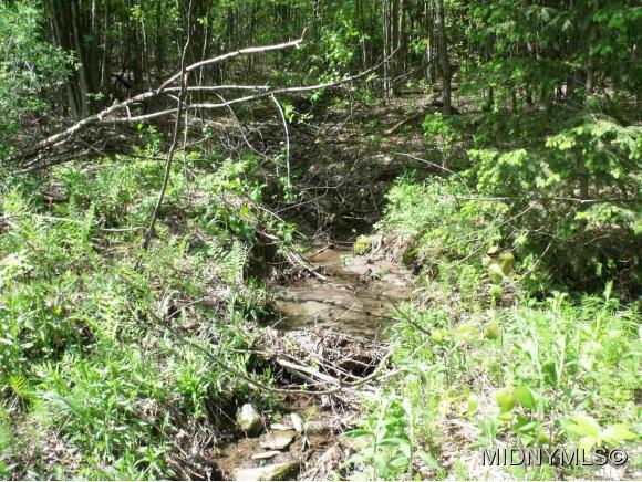 Brown Road, Frankfort, NY 13340