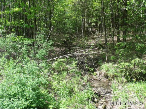 Brown Road, Frankfort, NY 13340