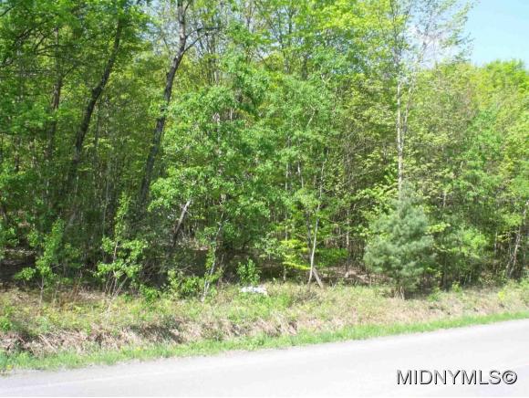 Brown Road, Frankfort, NY 13340