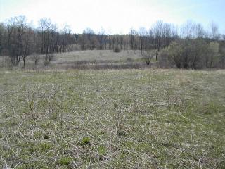 5 Acres Hawthorne Road,, Schuyler, NY 13340