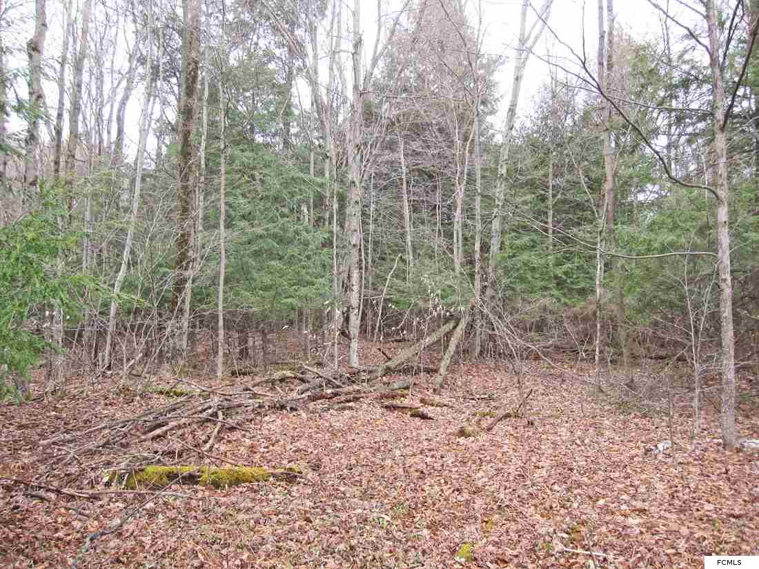 Hawthorne Rd, Schuyler, NY 13340