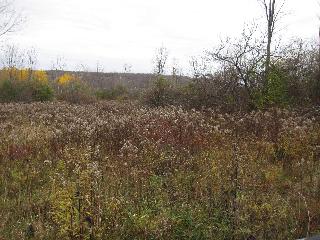 15 Ac., Grande View Dr.,, Schuyler, NY 13340