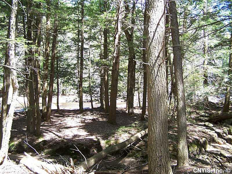 00 North Si Lustyik Camp Road, Watson, NY 13343