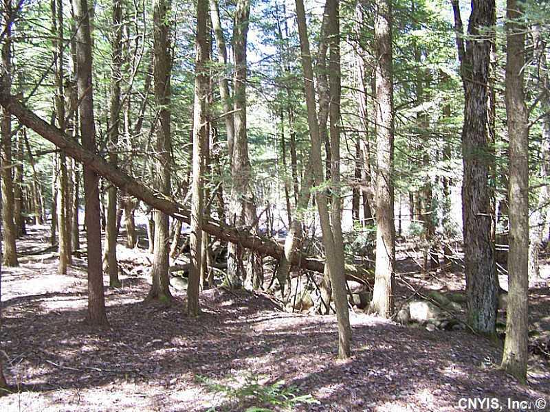 00 North Si Lustyik Camp Road, Watson, NY 13343