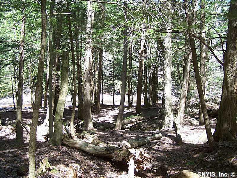 00 North Si Lustyik Camp Road, Watson, NY 13343