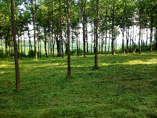 5.9 Ac Louis Ridge Road,, Schuyler, NY 13350