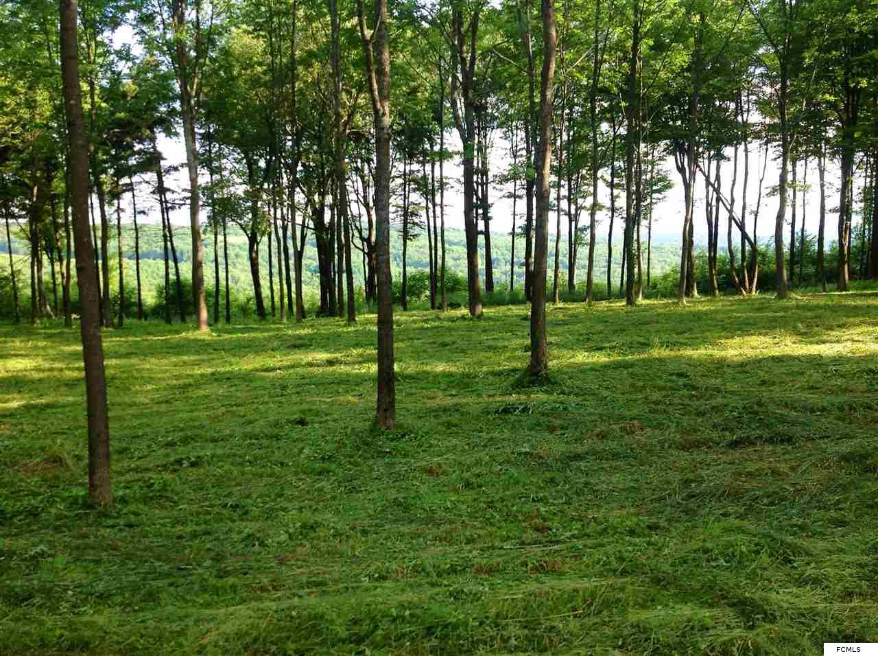 Louis Ridge Road, Schuyler, NY 13350