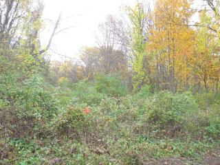 14+ AC Furnace St. Ext.,, Little Falls, NY 13365