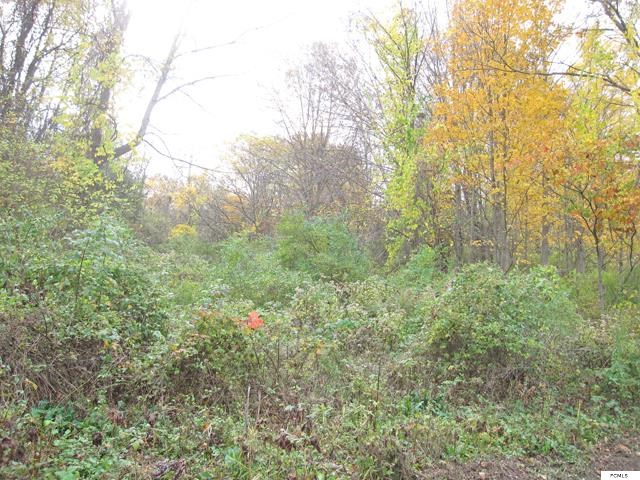 14AC Furnace St, Little Falls, NY 13365