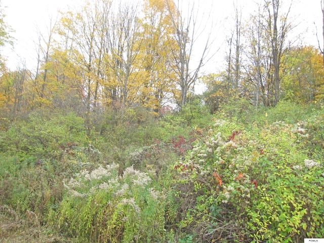 14AC Furnace St, Little Falls, NY 13365