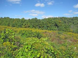11 Ac., Johnnycake Rd.,, Little Falls, NY 13365