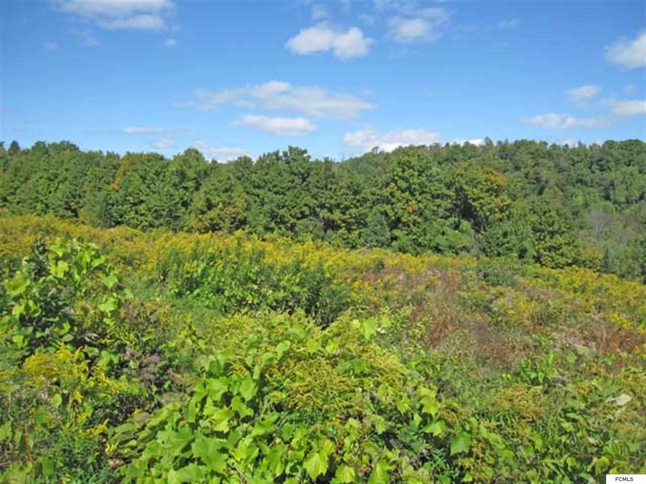 11 Acres Johnny Cake Rd, Little Falls, NY 13368