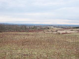 19.5 Acres State Route 29,, Fairfield, NY 13406