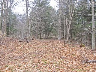 12.8 Acres Beaver Road,, Fairfield, NY 13406