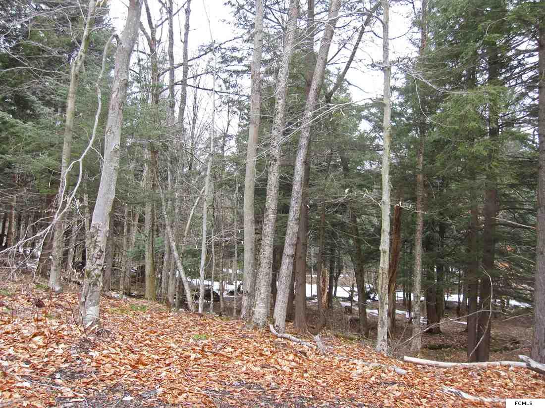 Beaver Rd, Fairfield, NY 13406