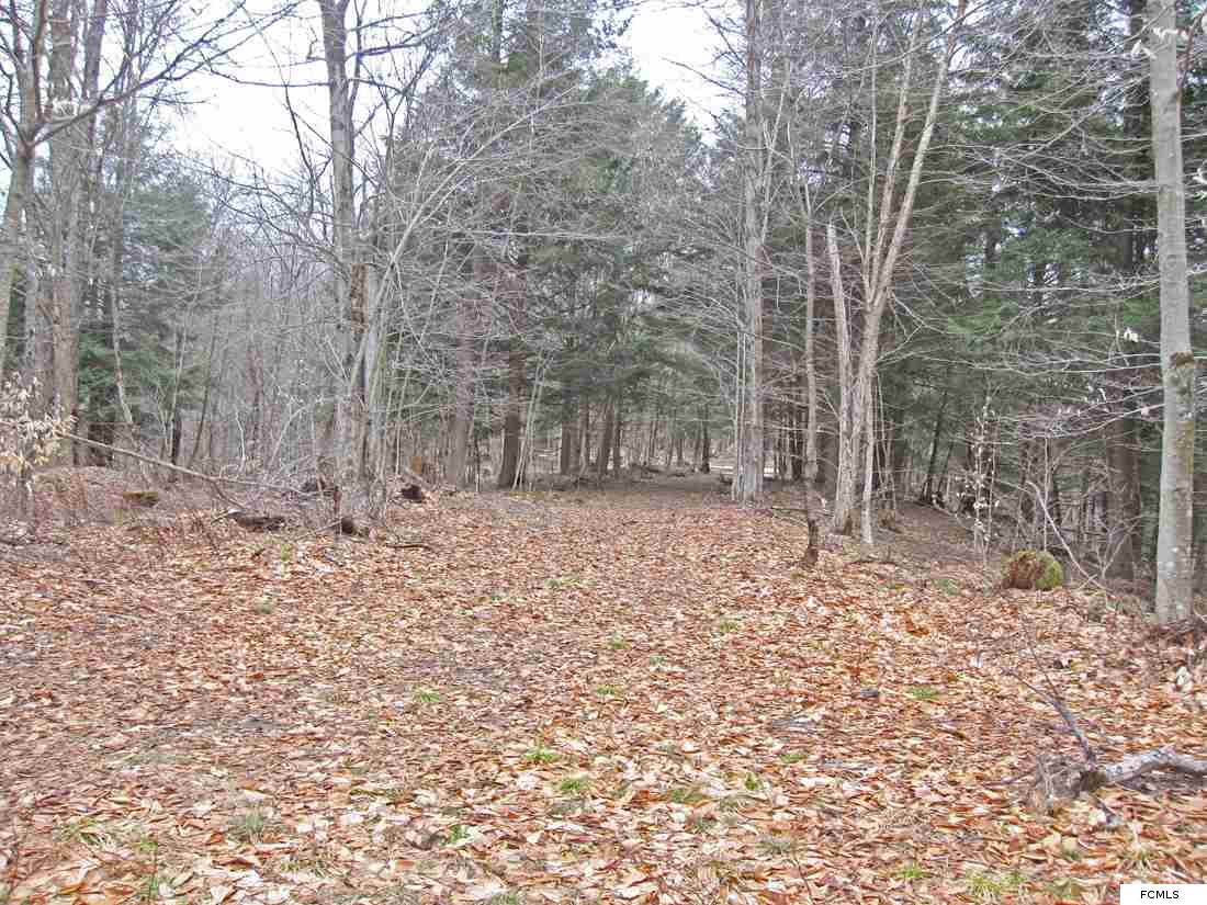 Beaver Rd, Fairfield, NY 13406