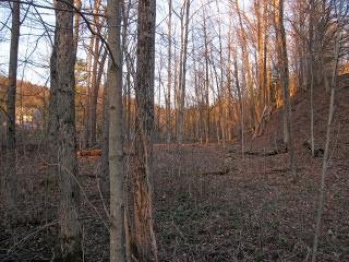 21.7 Ac., Fairfield St.,, Middleville, NY 13406