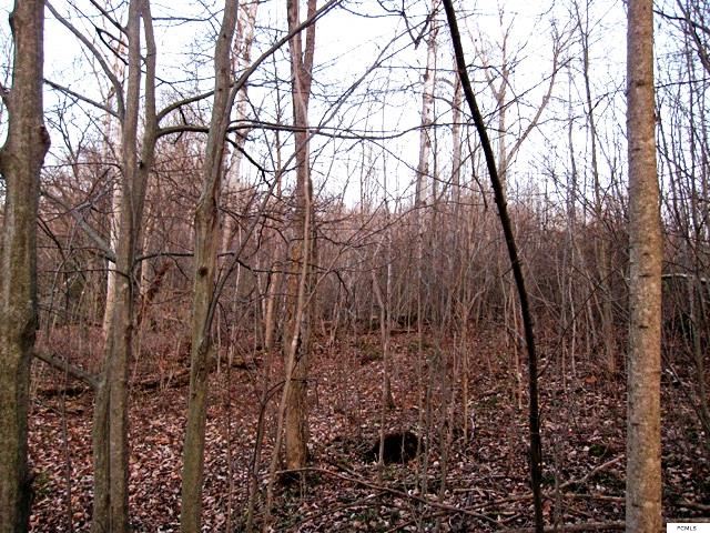 21.7 Acres Fairfield St, Middleville, NY 13406