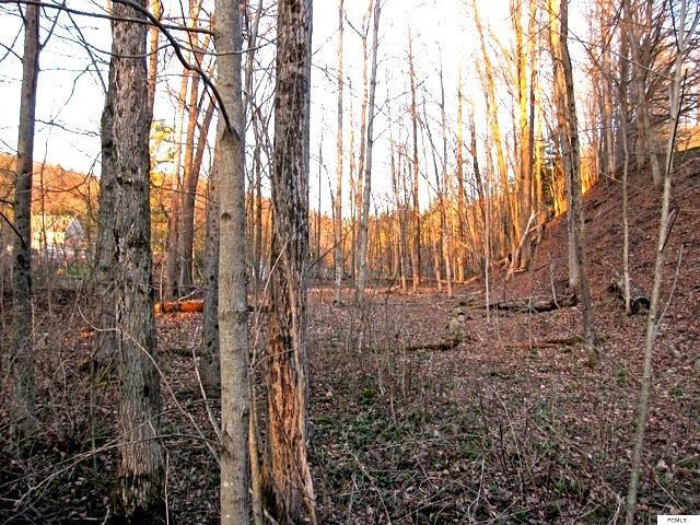 21.7 Acres Fairfield St, Middleville, NY 13406